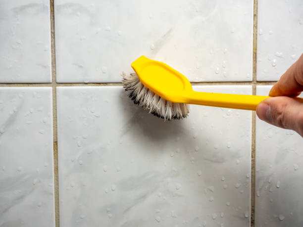 Best Bathroom Mold Remediation in Woodbine, NJ