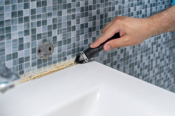 Best White Mold Remediation in Woodbine, NJ